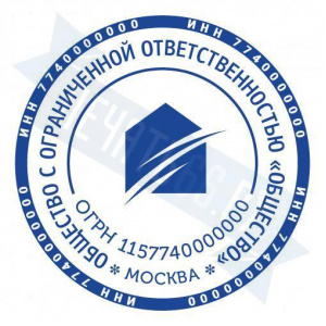 Макет печати для ООО с логотипом №20