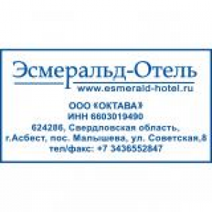 Штампы с реквизитами в Пскове Штампы с реквизитами в Пскове